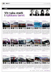 Síða 20