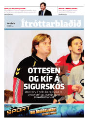 Síða 15