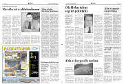 Síða 3