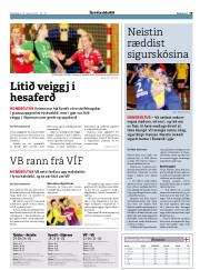 Síða 19