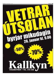 Síða 29