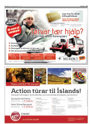 Síða 31