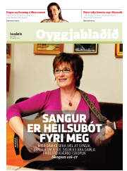 Síða 13