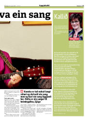 Síða 17
