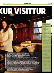 Síða 21