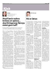 Síða 29