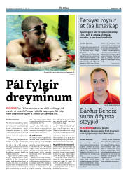 Síða 33