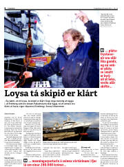 Síða 8