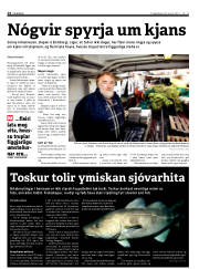 Síða 14