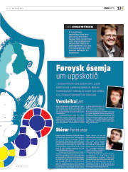 Síða 13