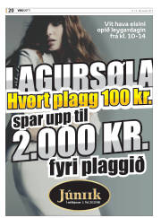 Síða 20