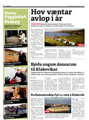 Síða 8