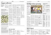 Síða 16