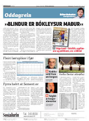 Síða 2