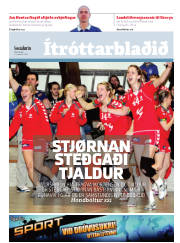 Síða 17