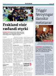 Síða 19
