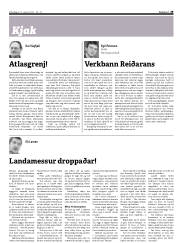 Síða 29