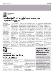 Síða 31