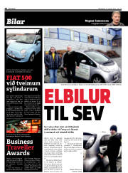 Síða 38