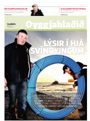Síða 17