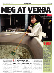 Síða 21
