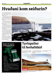 Síða 22