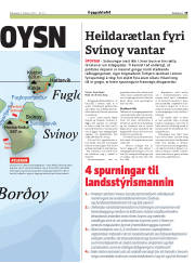 Síða 29