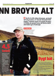 Síða 31
