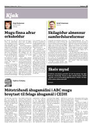 Síða 33