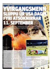 Síða 17