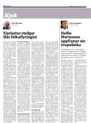 Síða 20