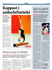 Síða 29