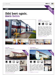 Síða 19