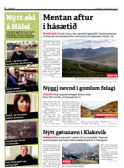Síða 8