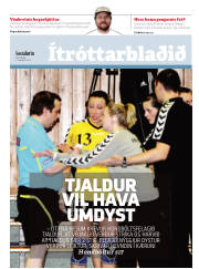 Síða 15