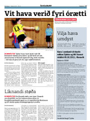 Síða 17