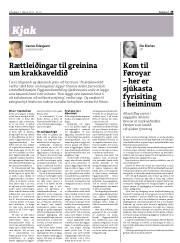 Síða 29