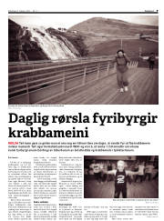 Síða 9
