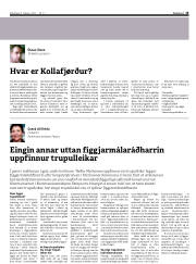 Síða 13