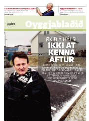 Síða 17