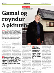 Síða 20