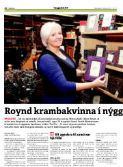 Síða 28