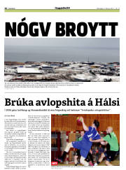Síða 30