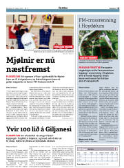 Síða 35