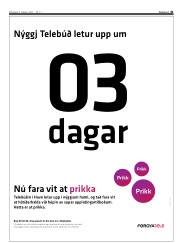 Síða 41