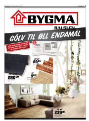 Síða 3