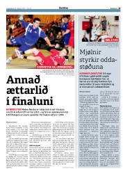 Síða 19