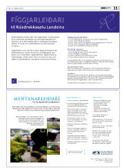 Síða 11