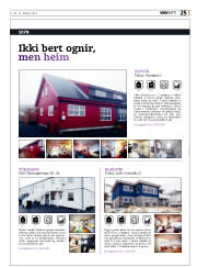Síða 25