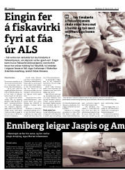 Síða 10
